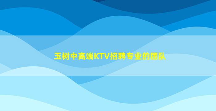 玉树中高端KTV招聘专业的团队